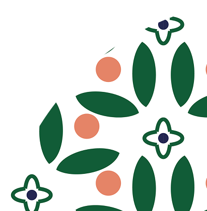 Ellipse 48