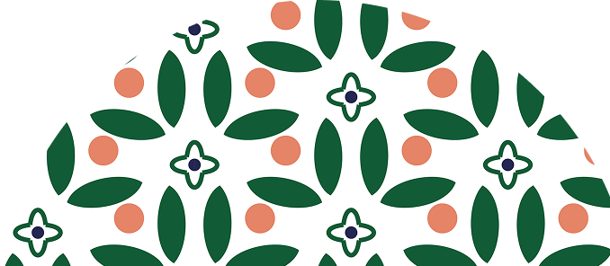 ellipse-contacto-tablet