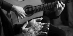 Flamenco